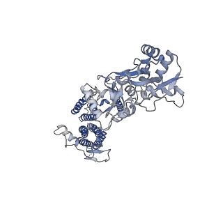 26017_7tnp_C_v1-2
Complex GGGG of AMPA-subtype iGluR GluA2 in complex with auxiliary subunit gamma2 (Stargazin) at low glutamate concentration (20 uM) in the presence of cyclothiazide (100 uM)