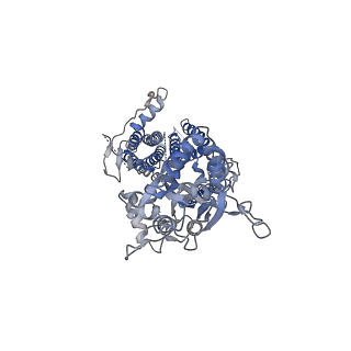 26017_7tnp_D_v1-2
Complex GGGG of AMPA-subtype iGluR GluA2 in complex with auxiliary subunit gamma2 (Stargazin) at low glutamate concentration (20 uM) in the presence of cyclothiazide (100 uM)