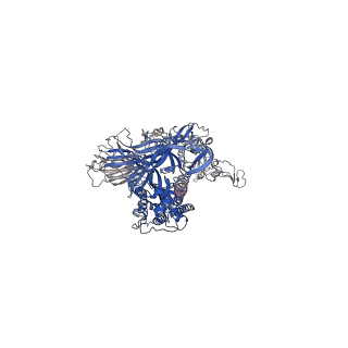 26021_7tnw_A_v1-2
Structural and functional impact by SARS-CoV-2 Omicron spike mutations