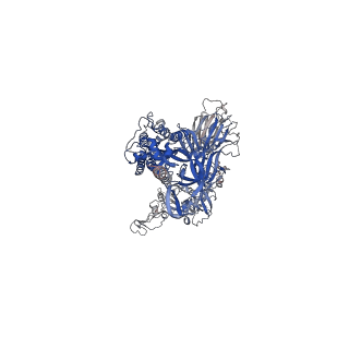 26021_7tnw_B_v1-2
Structural and functional impact by SARS-CoV-2 Omicron spike mutations