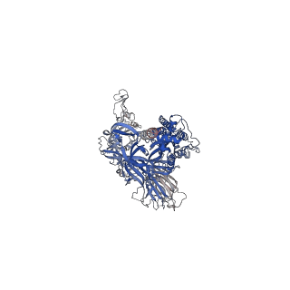 26021_7tnw_C_v1-2
Structural and functional impact by SARS-CoV-2 Omicron spike mutations