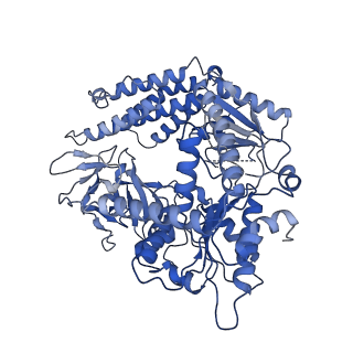 26022_7tnx_A_v1-2
Cryo-EM structure of RIG-I in complex with p3dsRNA