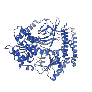 26023_7tny_A_v1-1
Cryo-EM structure of RIG-I in complex with p2dsRNA