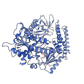 26024_7tnz_A_v1-2
Cryo-EM structure of RIG-I in complex with p1dsRNA