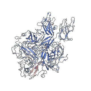 41411_8tn9_A_v1-2
Structural architecture of the acidic region of the B domain of coagulation factor V