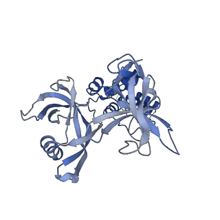 41423_8tnp_B_v1-1
Cryo-EM structure of DDB1dB:CRBN:Pomalidomide:SD40