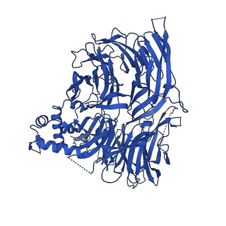 41425_8tnr_A_v1-0
Cryo-EM structure of DDB1dB:CRBN:PT-179:SD40, conformation 2