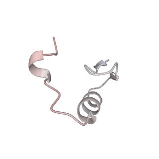 41425_8tnr_C_v1-0
Cryo-EM structure of DDB1dB:CRBN:PT-179:SD40, conformation 2