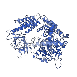 26025_7to0_A_v1-1
Cryo-EM structure of RIG-I in complex with OHdsRNA