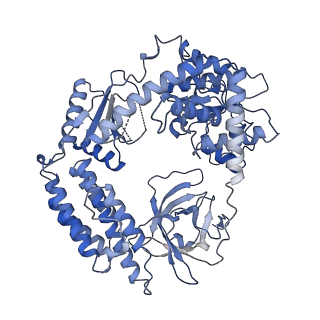 26026_7to1_A_v1-2
Cryo-EM structure of RIG-I bound to the end of p3SLR30 (+ATP)