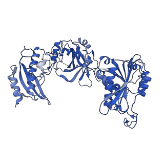 26028_7to3_A_v1-3
Structure of Enterobacter cloacae Cap2-CdnD02 2:2 complex