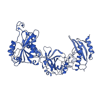 26028_7to3_B_v1-3
Structure of Enterobacter cloacae Cap2-CdnD02 2:2 complex