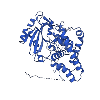 26028_7to3_C_v1-3
Structure of Enterobacter cloacae Cap2-CdnD02 2:2 complex