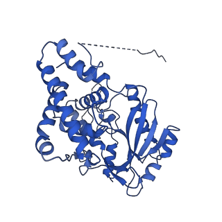 26028_7to3_D_v1-3
Structure of Enterobacter cloacae Cap2-CdnD02 2:2 complex