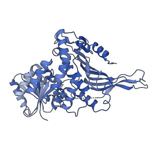 26030_7toe_A_v1-0
Structure of G6PD-WT tetramer with no symmetry imposed
