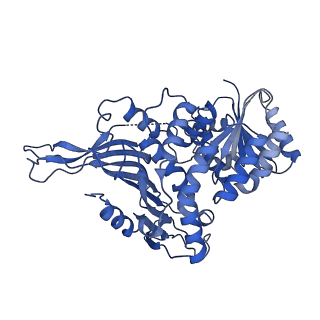 26030_7toe_B_v1-0
Structure of G6PD-WT tetramer with no symmetry imposed