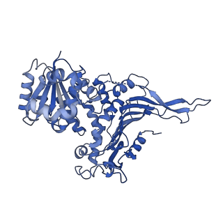 26030_7toe_C_v1-0
Structure of G6PD-WT tetramer with no symmetry imposed