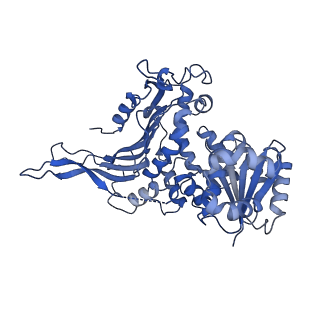 26030_7toe_D_v1-0
Structure of G6PD-WT tetramer with no symmetry imposed