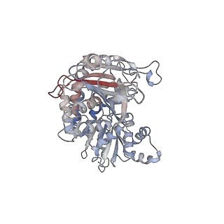 26031_7tof_A_v1-0
Structure of G6PD-WT dimer with no symmetry applied