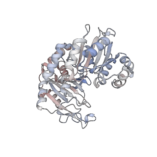 26031_7tof_B_v1-0
Structure of G6PD-WT dimer with no symmetry applied