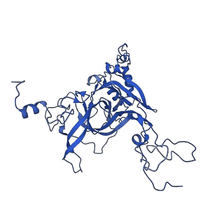 26033_7too_AL03_v1-1
Yeast 80S ribosome bound with the ALS/FTD-associated dipeptide repeat protein GR20