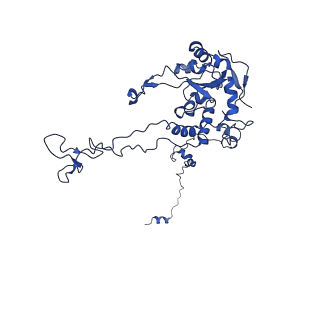 26033_7too_AL04_v1-1
Yeast 80S ribosome bound with the ALS/FTD-associated dipeptide repeat protein GR20