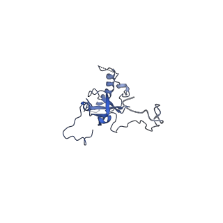 26033_7too_AL06_v1-1
Yeast 80S ribosome bound with the ALS/FTD-associated dipeptide repeat protein GR20