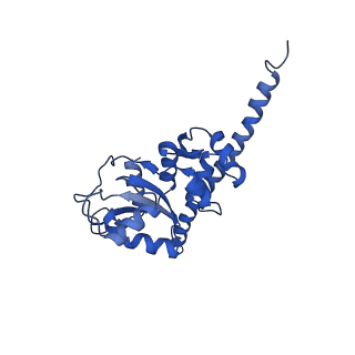 26033_7too_AL07_v1-1
Yeast 80S ribosome bound with the ALS/FTD-associated dipeptide repeat protein GR20