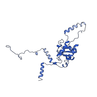26033_7too_AL08_v1-1
Yeast 80S ribosome bound with the ALS/FTD-associated dipeptide repeat protein GR20