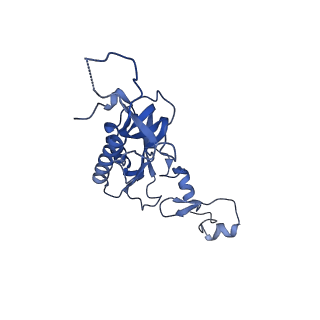 26033_7too_AL10_v1-1
Yeast 80S ribosome bound with the ALS/FTD-associated dipeptide repeat protein GR20