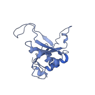 26033_7too_AL11_v1-1
Yeast 80S ribosome bound with the ALS/FTD-associated dipeptide repeat protein GR20