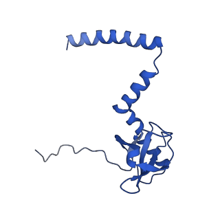 26033_7too_AL14_v1-1
Yeast 80S ribosome bound with the ALS/FTD-associated dipeptide repeat protein GR20