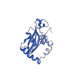 26033_7too_AL15_v1-1
Yeast 80S ribosome bound with the ALS/FTD-associated dipeptide repeat protein GR20