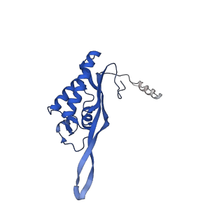 26033_7too_AL17_v1-1
Yeast 80S ribosome bound with the ALS/FTD-associated dipeptide repeat protein GR20