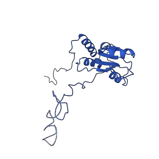 26033_7too_AL18_v1-1
Yeast 80S ribosome bound with the ALS/FTD-associated dipeptide repeat protein GR20
