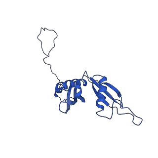 26033_7too_AL20_v1-1
Yeast 80S ribosome bound with the ALS/FTD-associated dipeptide repeat protein GR20