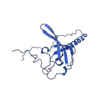 26033_7too_AL21_v1-1
Yeast 80S ribosome bound with the ALS/FTD-associated dipeptide repeat protein GR20