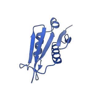 26033_7too_AL22_v1-1
Yeast 80S ribosome bound with the ALS/FTD-associated dipeptide repeat protein GR20