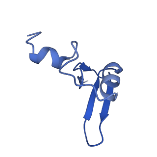 26033_7too_AL24_v1-1
Yeast 80S ribosome bound with the ALS/FTD-associated dipeptide repeat protein GR20