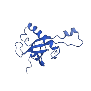 26033_7too_AL27_v1-1
Yeast 80S ribosome bound with the ALS/FTD-associated dipeptide repeat protein GR20