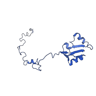 26033_7too_AL28_v1-1
Yeast 80S ribosome bound with the ALS/FTD-associated dipeptide repeat protein GR20