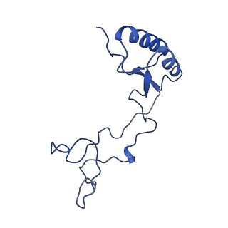 26033_7too_AL32_v1-1
Yeast 80S ribosome bound with the ALS/FTD-associated dipeptide repeat protein GR20