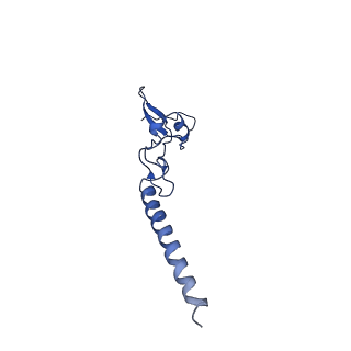 26033_7too_AL34_v1-1
Yeast 80S ribosome bound with the ALS/FTD-associated dipeptide repeat protein GR20