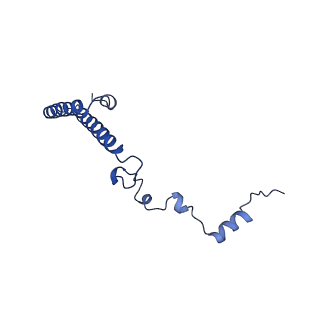 26033_7too_AL35_v1-1
Yeast 80S ribosome bound with the ALS/FTD-associated dipeptide repeat protein GR20