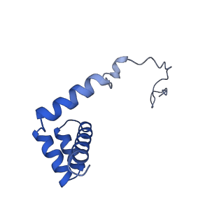 26033_7too_AL36_v1-1
Yeast 80S ribosome bound with the ALS/FTD-associated dipeptide repeat protein GR20