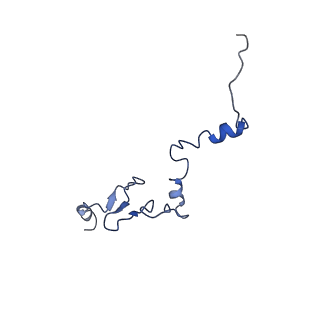 26033_7too_AL37_v1-1
Yeast 80S ribosome bound with the ALS/FTD-associated dipeptide repeat protein GR20