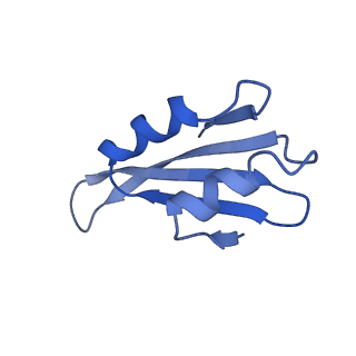 26033_7too_AL38_v1-1
Yeast 80S ribosome bound with the ALS/FTD-associated dipeptide repeat protein GR20