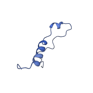 26033_7too_AL39_v1-1
Yeast 80S ribosome bound with the ALS/FTD-associated dipeptide repeat protein GR20
