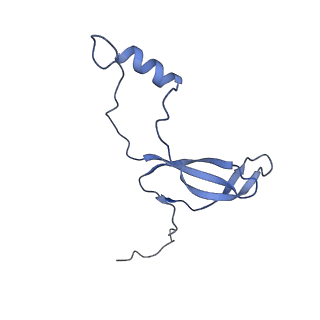 26033_7too_AL42_v1-1
Yeast 80S ribosome bound with the ALS/FTD-associated dipeptide repeat protein GR20