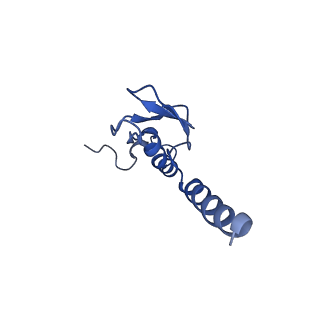 26033_7too_AL43_v1-1
Yeast 80S ribosome bound with the ALS/FTD-associated dipeptide repeat protein GR20
